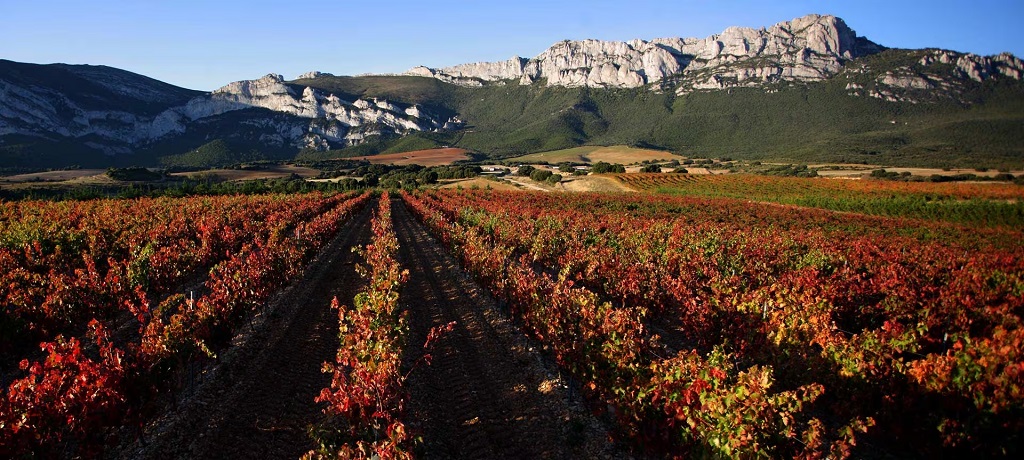 Rioja_Alavesa