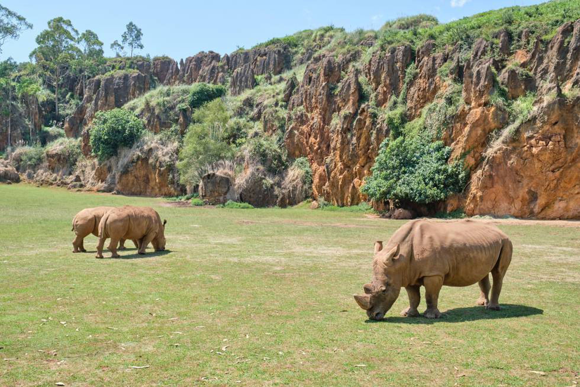 El_Parque_de_Cabárceno